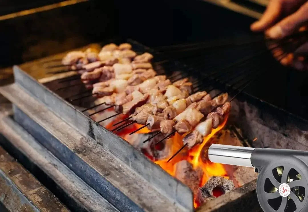 Soplador de mano portátil para barbacoa